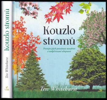 Kouzlo stromů