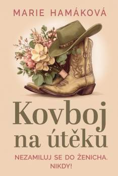 Kovboj na útěku