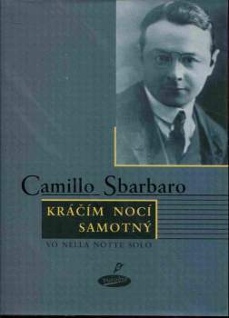 Kráčím nocí samotný