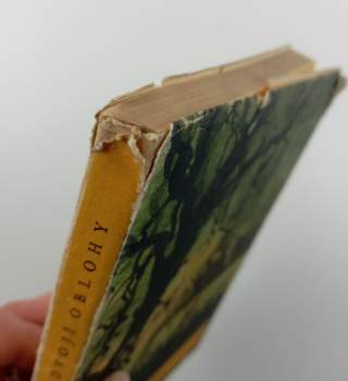 L. M Pařízek: Kraj dvojí oblohy