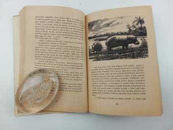 L. M Pařízek: Kraj dvojí oblohy