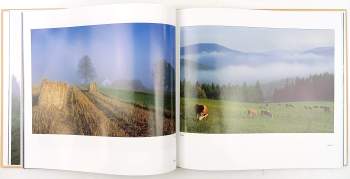 Martin Milfort: Krajina Šumavy