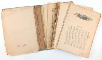 Ludmila Grossmannová Brodská: Krakonoš