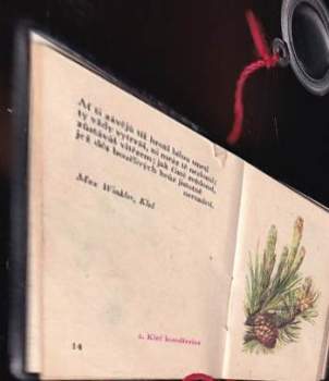 Eva Blažková: Krakonošův herbář