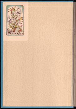 František Josef Čečetka: Král Jiří z Poděbrad