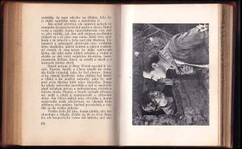 Zane Grey: Král pustiny