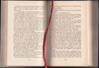 Oldřich Daněk: Král utíká z boje