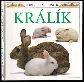 Králík