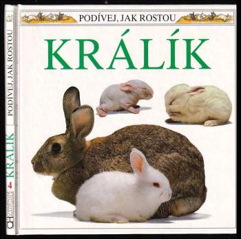 Králík