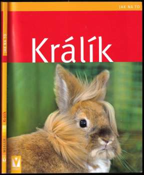 Králík