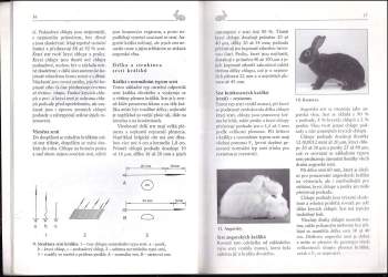 Vladimír Malík: Králík od A do Z