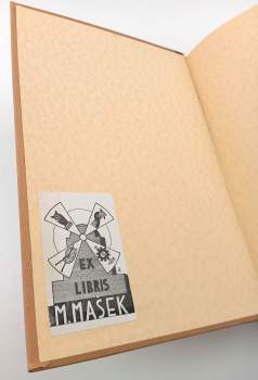 Královny, kněžny a velké ženy české