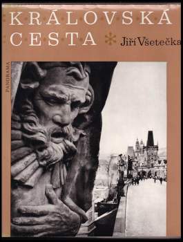 Jiří Všetečka: Královská cesta