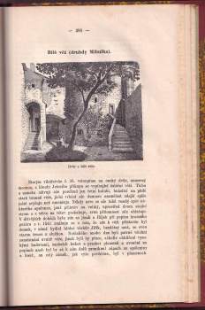 Eduard Herold: Královský hrad pražský