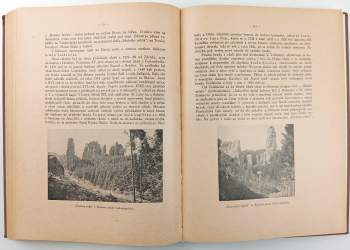 Karel Sellner: Království české