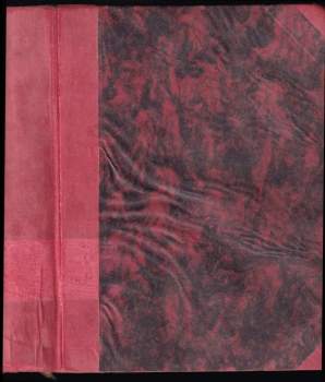 Království české