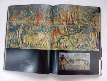 Zahi Hawass: Království faraonů