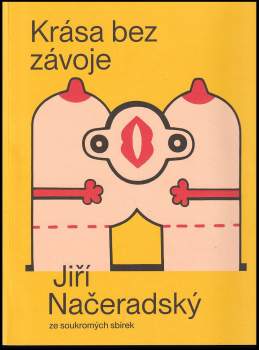 Krása bez závoje