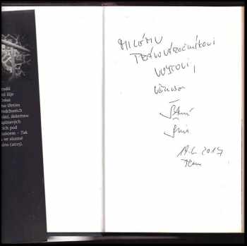 Štěpán Šimek: Krása bezvýznamnosti