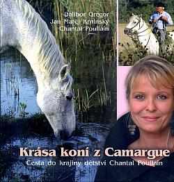 Krása koní z Camargue