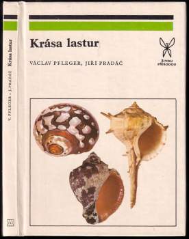 Krása lastur