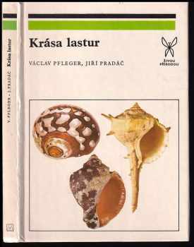 Krása lastur