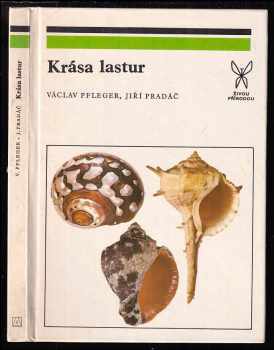 Krása lastur
