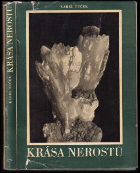 Krása nerostů