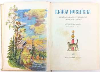 Irina Valer'janovna Karnauchova: Krása nesmírná