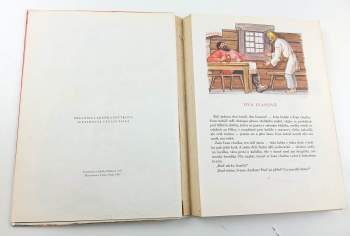 Irina Valer'janovna Karnauchova: Krása Nesmírná