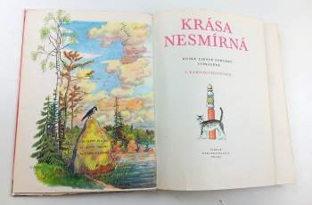 Irina Valer'janovna Karnauchova: Krása Nesmírná