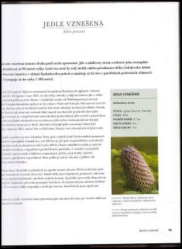 Michael Jordan: Krása stromů