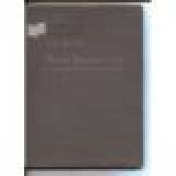 Krásná literatura česká v prvním desetiletí republiky