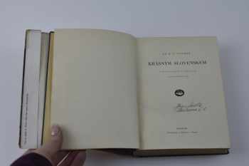Karel Václav Adámek: Krásným Slovenskem