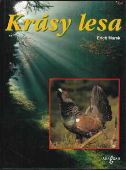 Krásy lesa