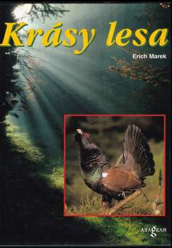Krásy lesa