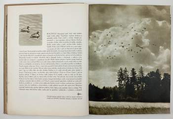 Karel Hájek: Krásy myslivosti