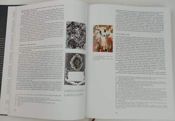 Marie Rakušanová: !křičte ústa!