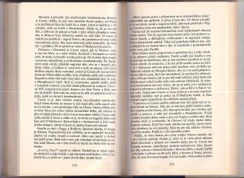 Danielle Steel: Křídla