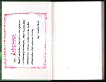 Sally Gardner: Křídla & spol