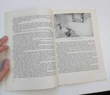 Bohuslav Němec: Kriminalistický sborník 1966 - Ročník X. - čísla 1- 12 - KOMPLETNÍ ROČNÍK