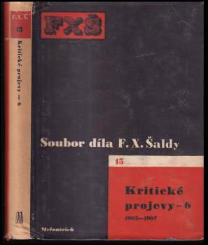 Kritické projevy 6