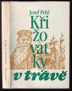 Josef Pohl: Křižovatky v trávě : pro čtenáře od 11 let