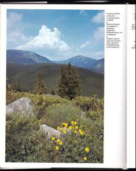 Krkonoše : Riesengebirge =Giant Mountains