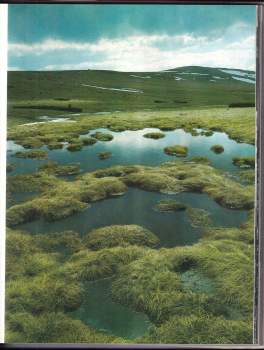 Jiří Havel: Krkonoše