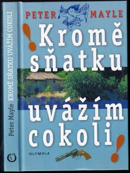 Kromě sňatku uvážím cokoli!