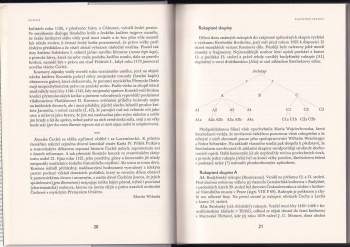 Kosmas: Kronika Čechů