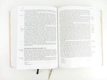 Václav Hájek z Libočan: Kronika česká