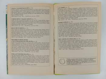 Jaroslav Foglar: Kronika Hochů od Bobří řeky