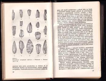 Jaroslav Böhm: Kronika objeveného věku